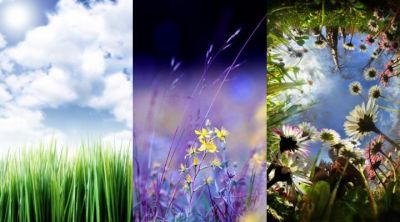 Natura Vibrante - wallpaper preview