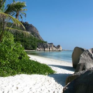 Paradiso della Spiaggia Tropicale