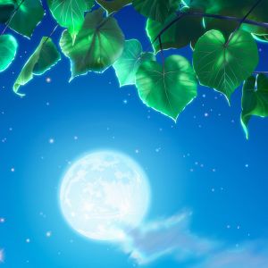 Notte Lunare con Foglie