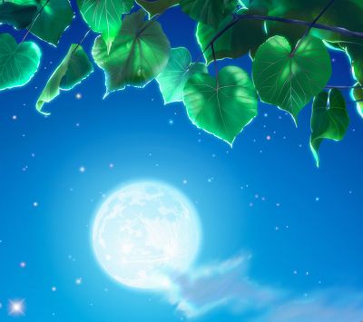 Notte Lunare con Foglie - wallpaper preview