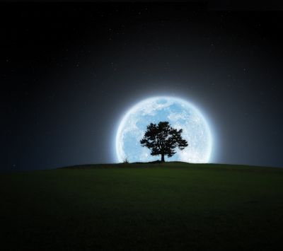 Paesaggio con Albero e Luna