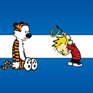 Avventura di Calvin e Hobbes