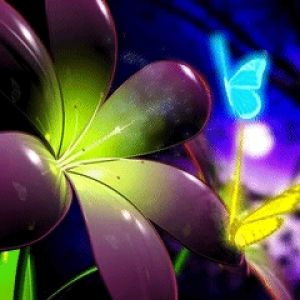 Fiore Vivace e Farfalla