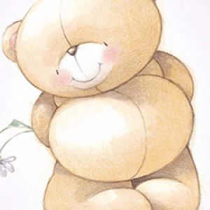 Illustrazione di Orsetto Carino