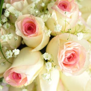 Bellissimo Mazzo di Rose Rosa