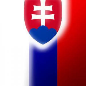 Design della Bandiera Slovacca