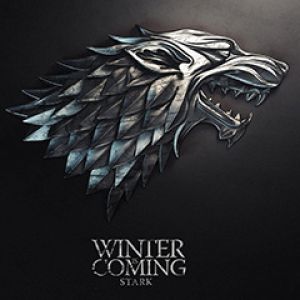 L'inverno sta arrivando - Stark