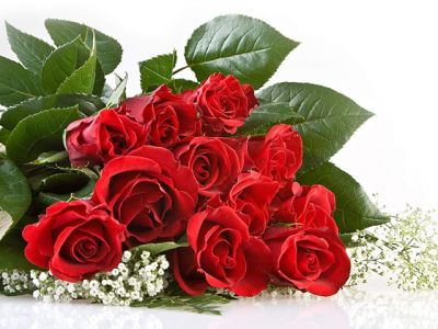 Bellissimo Mazzo di Rose Rosse - wallpaper preview