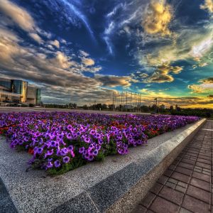 Giardino Fiorito al Tramonto