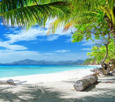 Paradiso della Spiaggia Tropicale