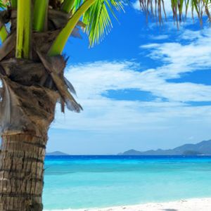 Paradiso della Spiaggia Tropicale