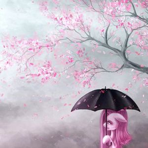 Pony Rosa Sotto i Ciliegi