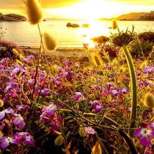 Tramonto su Campo Fiorito