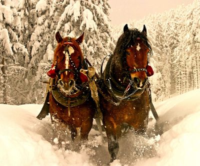 Cavalli nel Paesaggio Invernale - wallpaper preview