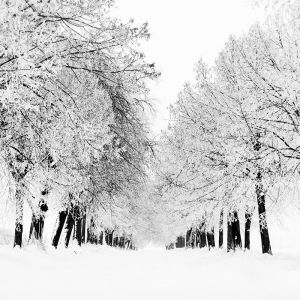 Paesaggio Invernale
