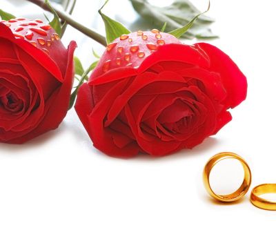 Rose e Fedi Nuziali - wallpaper preview