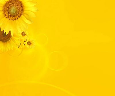 Sfondo di Girasole Luminoso - wallpaper preview