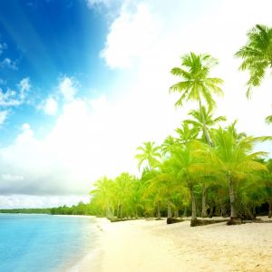 Paradiso Tropicale
