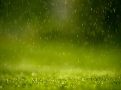 Pioggia sull'Erba Verde