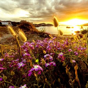 Tramonto sui Campi di Fiori