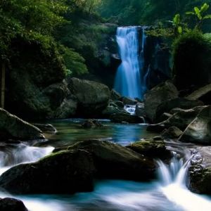 Cascata Serene nella Natura