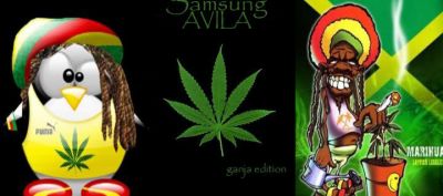 Pinguino Rasta e Arte Ganja - wallpaper preview
