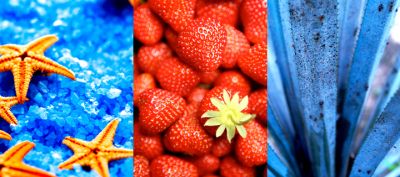Natura e Cibo Colorati