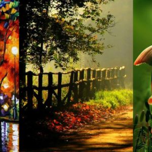 Scene Naturali Vibranti