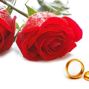 Rose e Fedi Nuziali