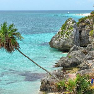 Paradiso della Spiaggia Tropicale