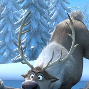 Renne Divertente nella Neve
