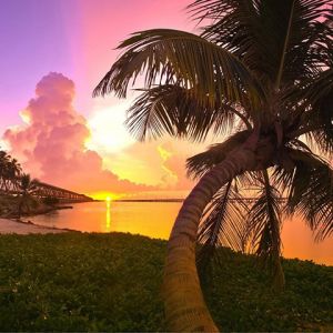 Tramonto Tropicale sul Mare