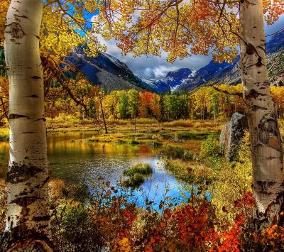 Paesaggio Autunnale con Montagne
