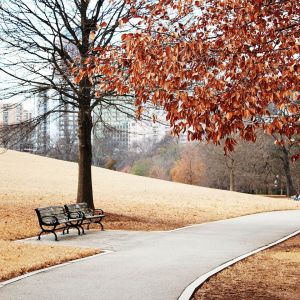 Sentiero Autunnale nel Parco