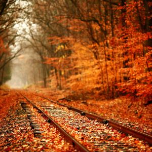 Binari d'Autunno