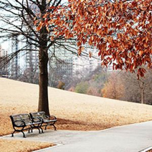 Sentiero Autunnale nel Parco