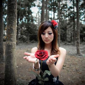 Bella Ragazza con Rosa