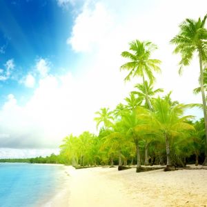 Paradiso della Spiaggia Tropicale