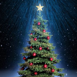 Albero di Natale con Stella