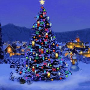 Bellissimo Albero di Natale di Notte
