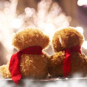 Orsetti di Peluche con Sciarpe