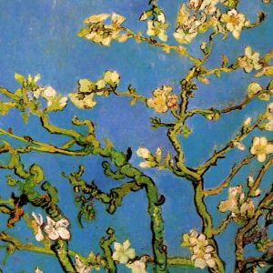 Fiore di Mandorlo di Van Gogh