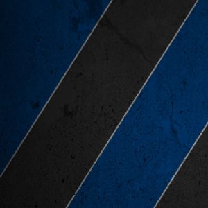 Strisce Diagonali Blu e Nere