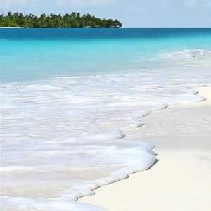 Paradiso della Spiaggia Tropicale