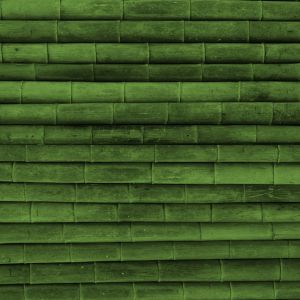 Texture di Bambù Verde