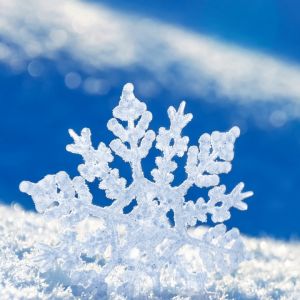 Bella Fiocco di Neve sulla Neve