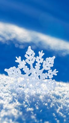 Bella Fiocco di Neve sulla Neve - wallpaper preview