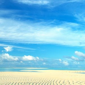 Paesaggio di Spiaggia Serene