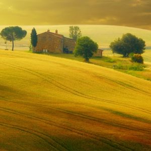 Tramonto Dorato sui Colli