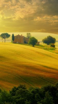 Tramonto Dorato sui Colli - wallpaper preview
